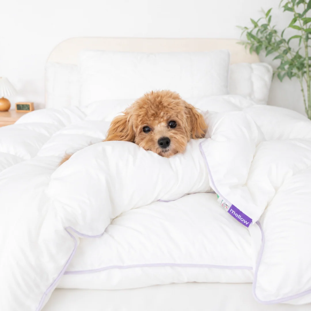 CloudFill Duvet Insert