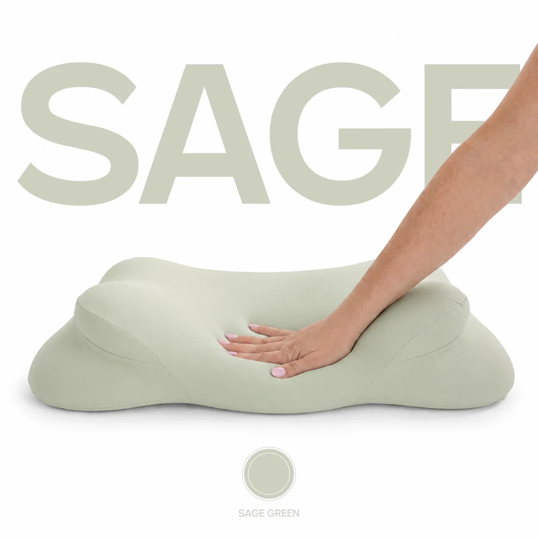 2 CloudAlign Pillows + 2 Free Cooling Pillowcases